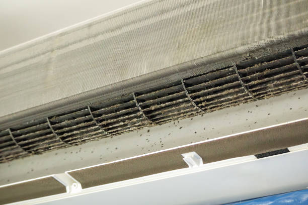 Best Home Air Vent Cleaning  in Appalachia, VA